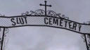 deliatrix’s cult server banner