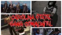 𝐂𝐒𝐑𝐏: 𝘎𝘢𝘯𝘨 𝘊𝘰𝘮𝘮𝘶𝘯𝘪𝘵𝘺 banner