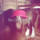 wetsloppykissing Banner