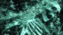 ᴍᴇʟᴀɴᴄʜᴏʟʏ ʜɪʟʟ ¹⁸* banner
