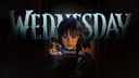Wednesday banner
