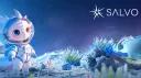 Salvo banner