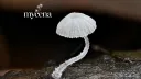 Fungi University banner