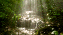 blu? banner