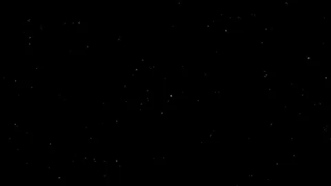 WolfPunX Discord server banner