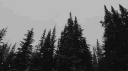 𝐑𝐄𝐁𝐎𝐑𝐍 community banner