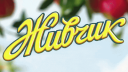 Живчик banner