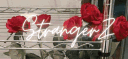 StrangerZ | Chilling Indian Community • Social • Active • Gaming • Fun (masti) • Hangouts • Vc banner