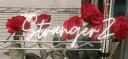StrangerZ  | Chilling Indian Community • Social • Active • Gaming • Fun (masti) • Hangouts • Vc Banner