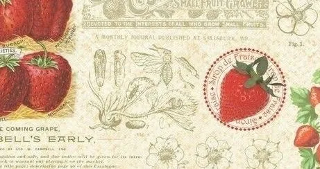 𓏲 ˚ ∘ @ yunjin 𓂅 banner