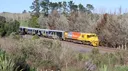 Rail NZ banner