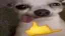 ……. Gang Server banner