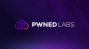 Pwned Labs Discord server banner