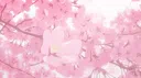 Pillow Fort♧ Discord server banner