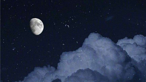 𝕋𝕙𝕖 ℂ𝕖𝕣𝕦𝕝𝕖𝕒𝕟 𝕊𝕦𝕞𝕞𝕚𝕥♢ Discord server banner