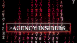 Agency Insiders 2.0 server banner