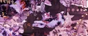 chronically calico 𐔌˙. server banner