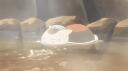 Ploxo Banner