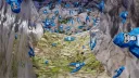 CatCraze's Gtag Crib Discord server banner