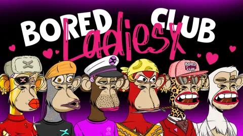 Bored Ladies X Club banner