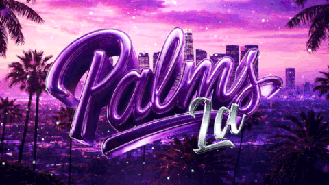 PALMS LA 🌴 banner