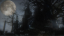 𝕯𝖊𝖆𝖗𝖑𝖞 𝕭𝖊𝖑𝖔𝖛𝖊𝖉 server banner