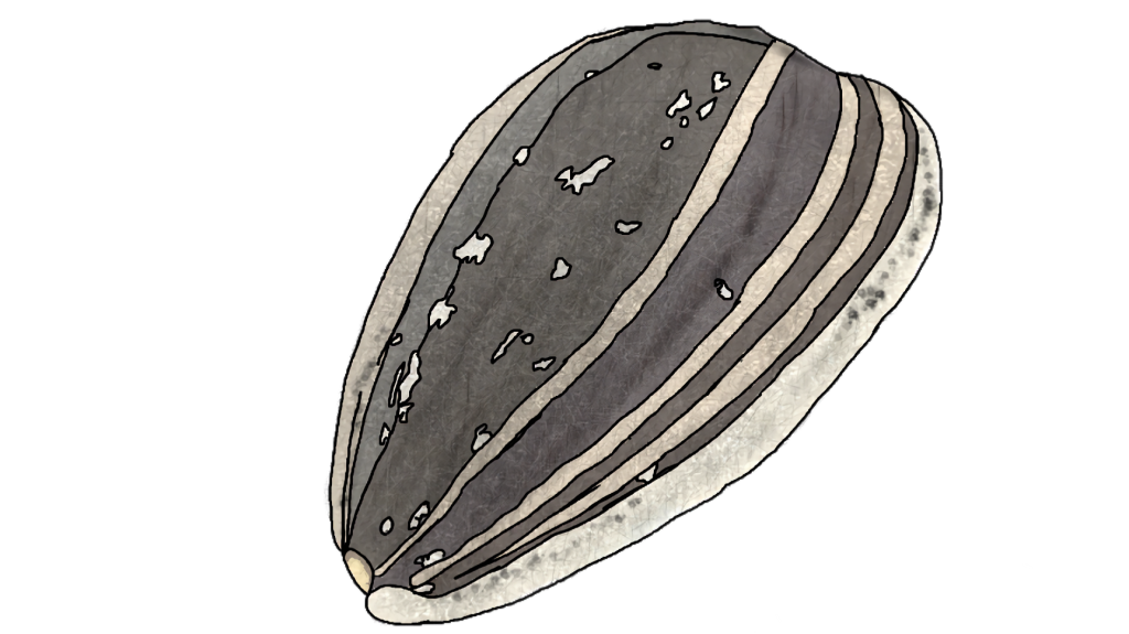 Toxify community Server Discord server banner