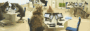 GameNight#3146 banner