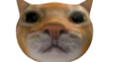 Чоч banner