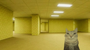 hanni's site Banner