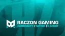 RACZON Gaming banner
