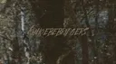 Phoebe Bridgers banner