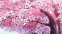 Anomaly Café - NTE Discord server banner