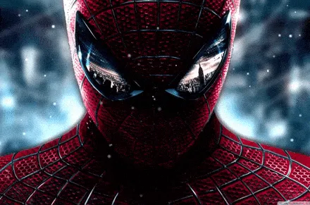 The Web-Cord banner