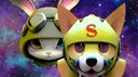 banner