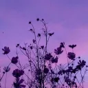 Blossoming ⟡ Jewels banner