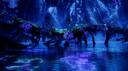 ᴘᴀɴᴅᴏʀᴀ Banner