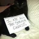 string cheese Banner