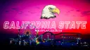 California State banner