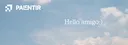 banner
