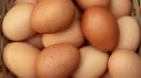 Leif's Egg Domain banner