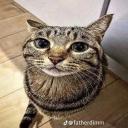 World Of Wood Banner