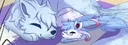 D-Proxy#1449 banner