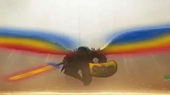 banner