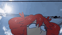 banner