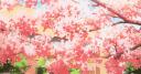 #TAŞINDIK Banner