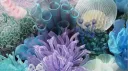 ୨୧ Fluvius Discord server banner