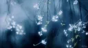 tokyo Discord server banner