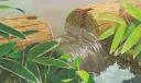 หห Secret Garden: Art & Community!๐จ หห Discord server banner