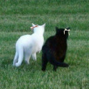 stargazing ✧.* Discord server banner